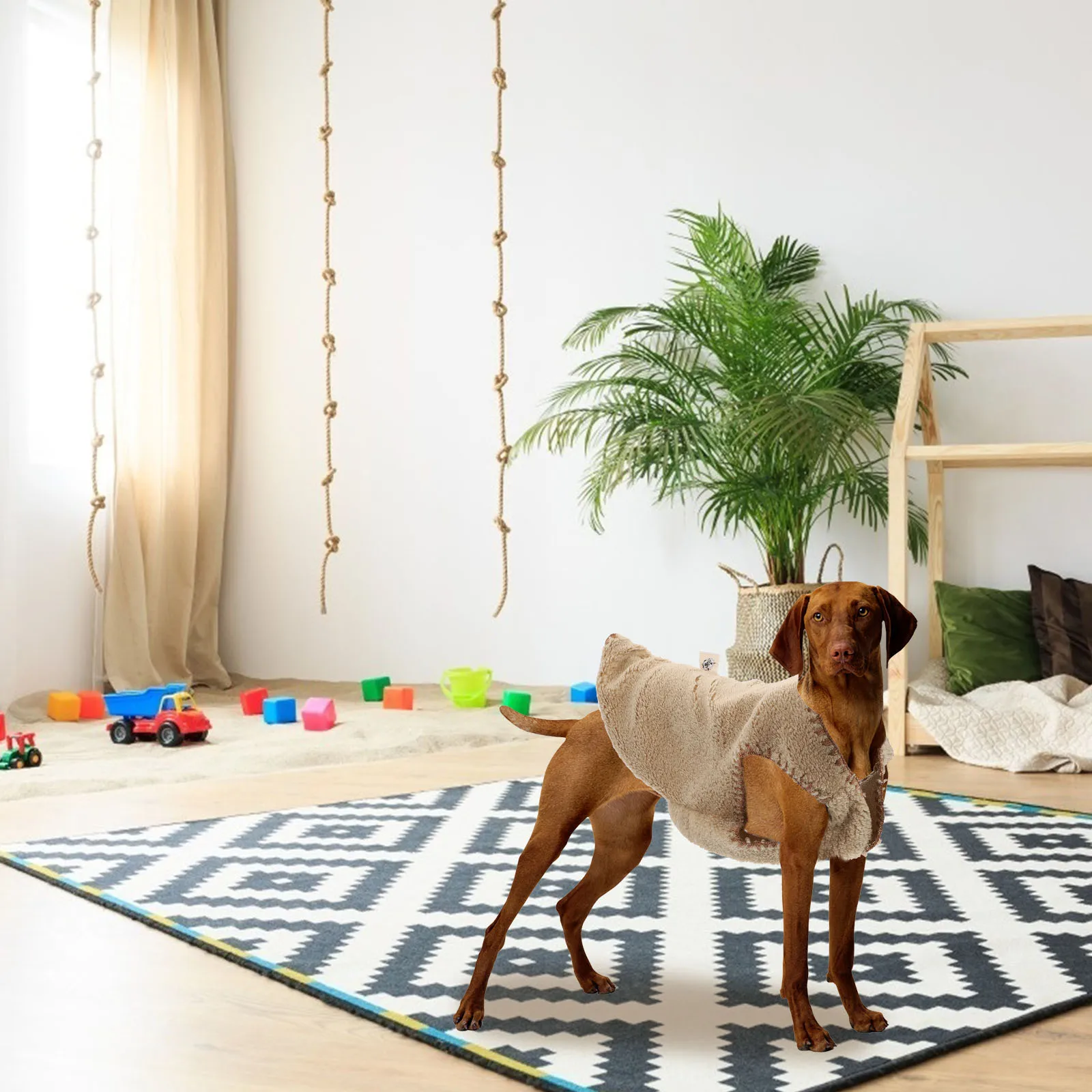 1pc Warm Pet Vest For Dogs Winter Puppy Coat Small Medium Size Soft Comfortable Pet Supplies Solid Color Dog Waistcoat Easy Wear
1pc Warm Pet Vest For Dogs Winter Puppy Coat Small Medium Size Soft Comfortable Pet Supplies Solid Color Dog Waistcoat Easy Wear