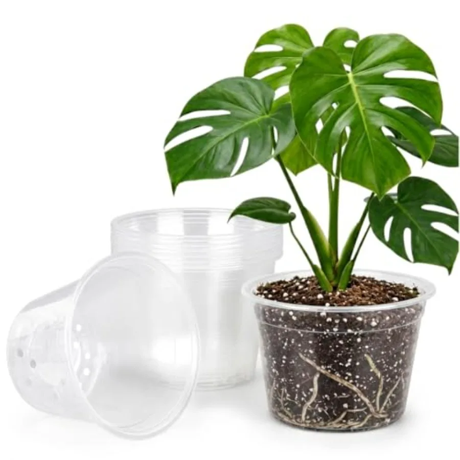 5 Gallon Clear Nursery Pots 10 Pack, 12 Inch Large Plastic Plant Pots with Drainage Holes, Transparent Planters for Root Monito
5 Gallon Clear Nursery Pots 10 Pack, 12 Inch Large Plastic Plant Pots with Drainage Holes, Transparent Planters for Root Monito