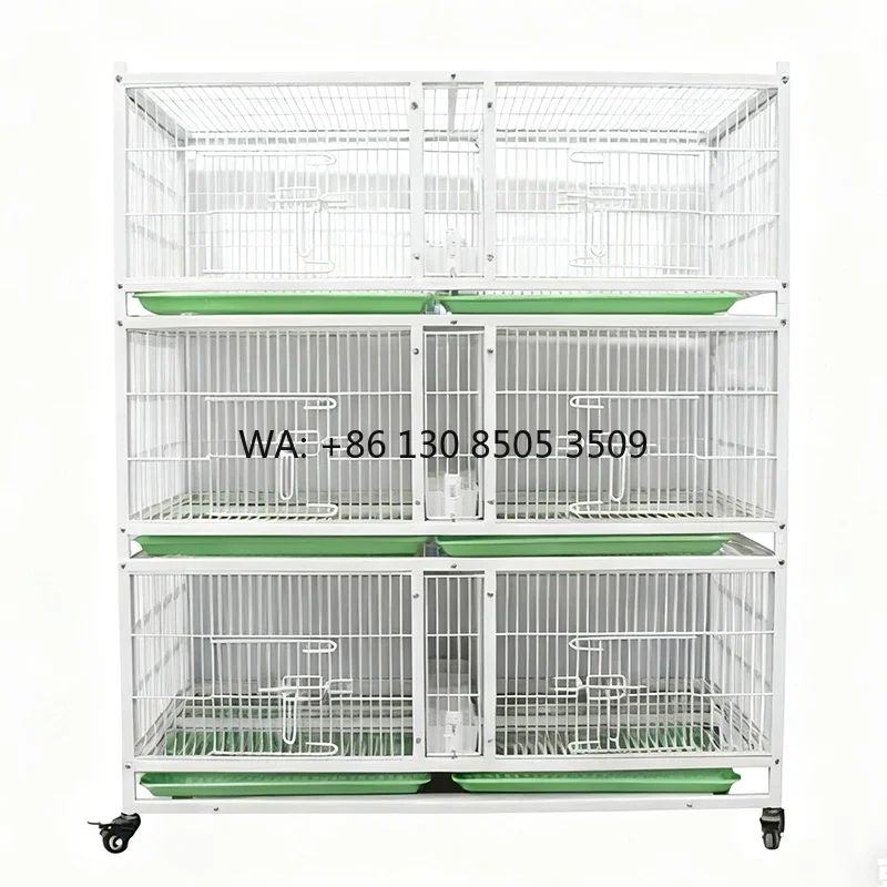 Premium Classic Multi-Layer Galvanized Pipe Iron Wire Racing Pigeon Breeding Cage Stainless Steel Frame Custom Design Plastic
Premium Classic Multi-Layer Galvanized Pipe Iron Wire Racing Pigeon Breeding Cage Stainless Steel Frame Custom Design Plastic