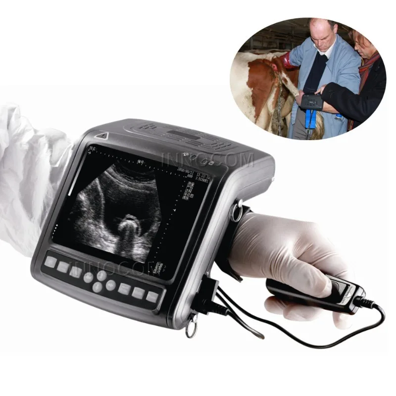 Vet Medical Handheld Ultrasound Scanner Portable Mobile B/w Pregnancy Wireless Veterinary Medical Echo for Animals
Vet Medical Handheld Ultrasound Scanner Portable Mobile B/w Pregnancy Wireless Veterinary Medical Echo for Animals