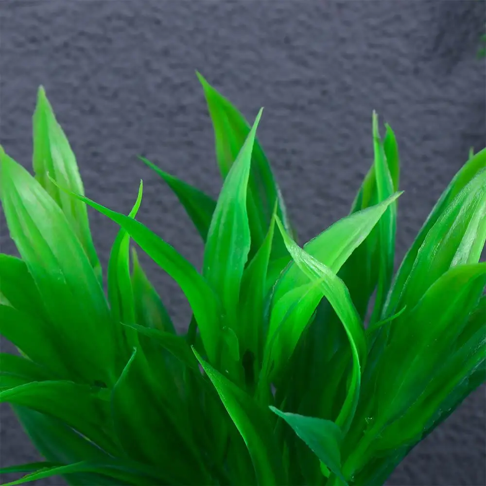 Fish Tank Decor Fake Plants Artificial Plants Simulation Plants Aquarium Accessories Aquarium Decoration Artificial Water Grass
Fish Tank Decor Fake Plants Artificial Plants Simulation Plants Aquarium Accessories Aquarium Decoration Artificial Water Grass