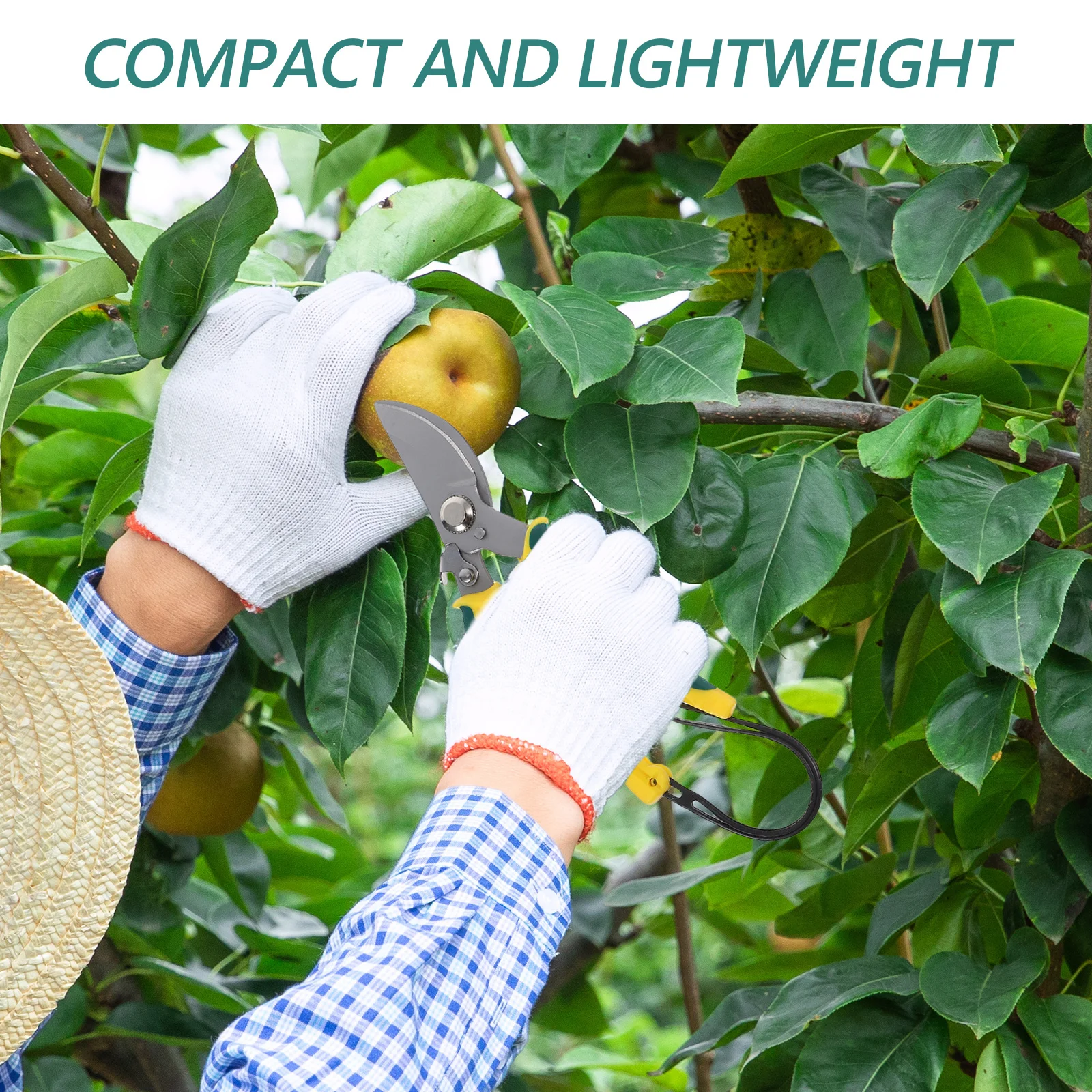 Garden Pruning Shear Stainless Steel Multi-Use Handle for Trimming Branches Flowers Fruit Picking Bonsai Clippers
Garden Pruning Shear Stainless Steel Multi-Use Handle for Trimming Branches Flowers Fruit Picking Bonsai Clippers