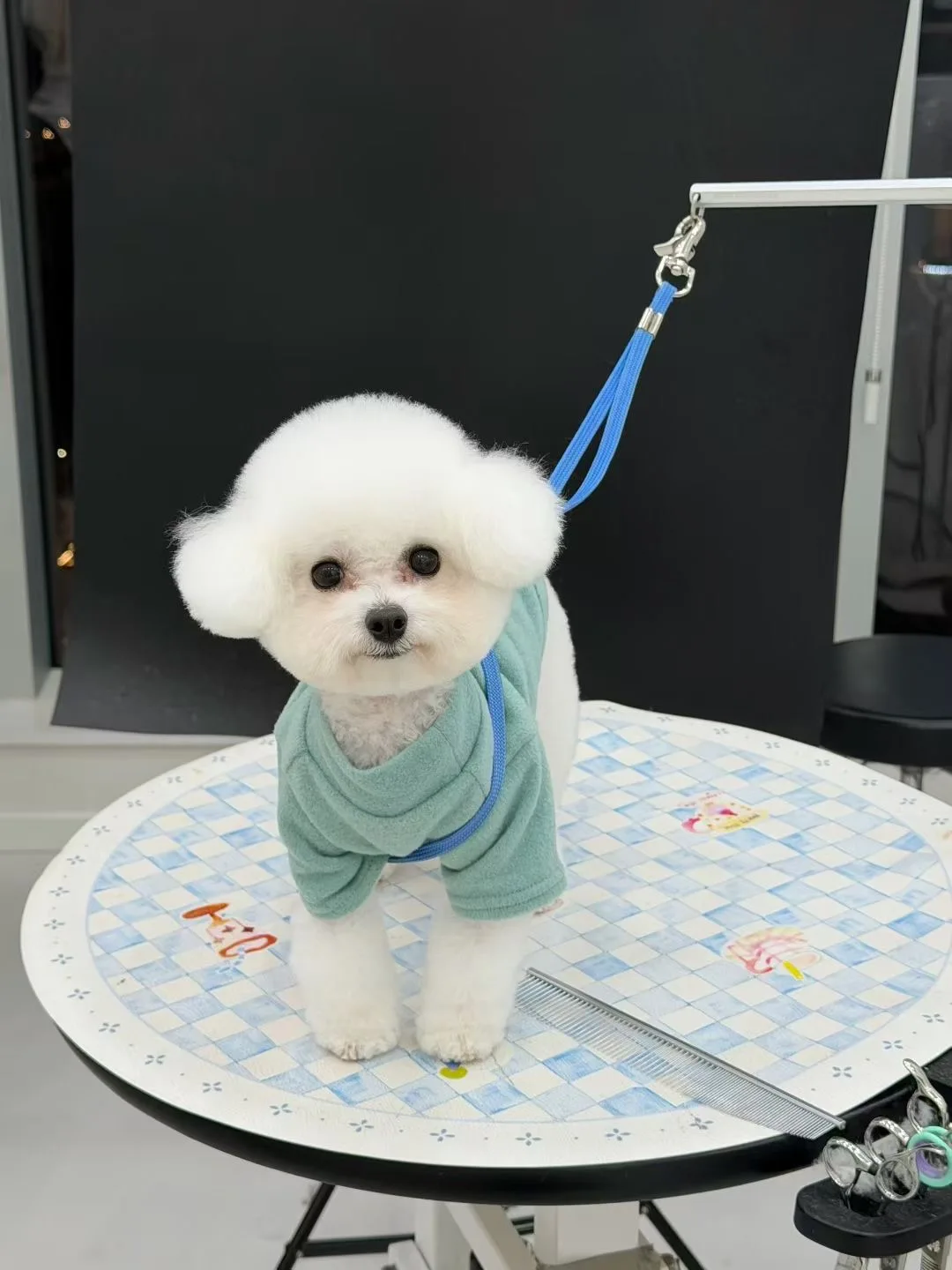 Anti-Slip Desktop Air Lift Dog Grooming Table for Pet Grooming Salons High Quality Pneumatic Pet Grooming Table
Anti-Slip Desktop Air Lift Dog Grooming Table for Pet Grooming Salons High Quality Pneumatic Pet Grooming Table
