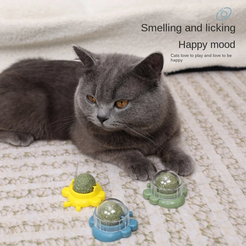 Catnip Ball Spin Ball Cat Interactive Happy Self Grinding Teeth Cleaning Tease Ball Cat Toy
Catnip Ball Spin Ball Cat Interactive Happy Self Grinding Teeth Cleaning Tease Ball Cat Toy