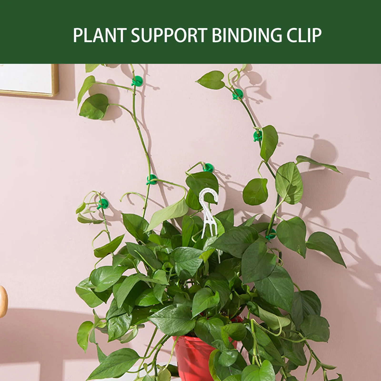 50Pcs Garden Plant Climbing Wall Fixing Clips Self-Adhesive ABS Vine Holder Wire Cable Organizer Plant Support Fixture Hook
50Pcs Garden Plant Climbing Wall Fixing Clips Self-Adhesive ABS Vine Holder Wire Cable Organizer Plant Support Fixture Hook