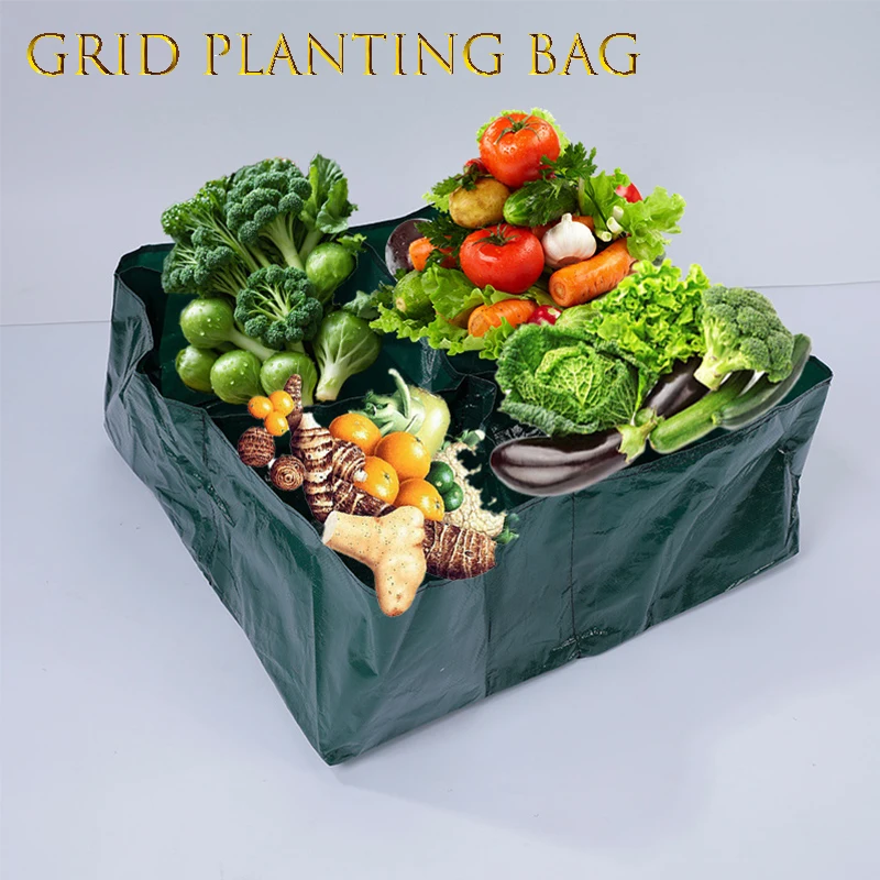 Удобная сетчатая сумка для посадки, комбинированная перегородка для легкого выращивания сада
Удобная сетчатая сумка для посадки, комбинированная перегородка для легкого выращивания сада
