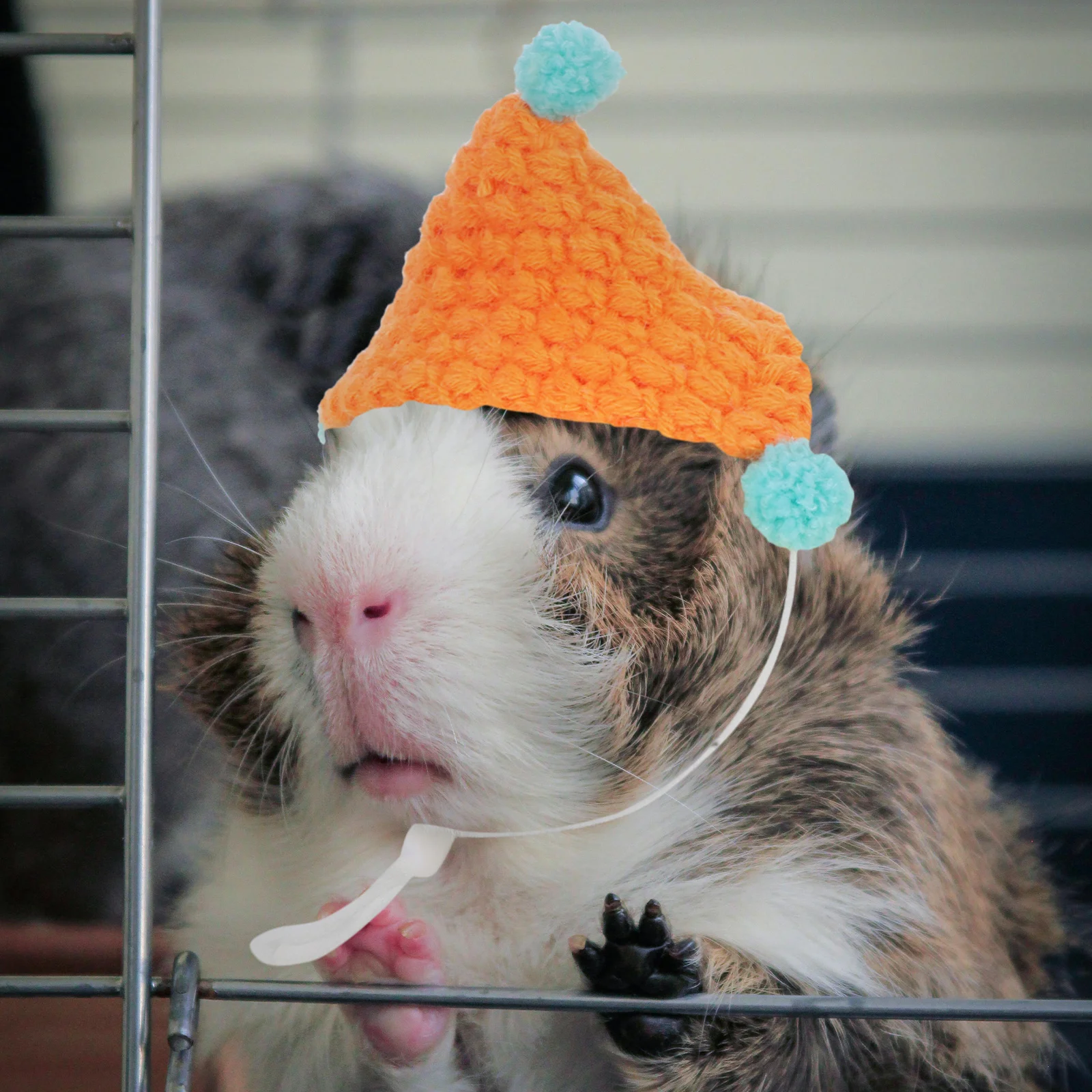 Guinea Pig Hat Small Animal Christmas Costume Little Knitted Rabbit Outfit Hamster Accessories Mini Hats Cute Clothes Animals
Guinea Pig Hat Small Animal Christmas Costume Little Knitted Rabbit Outfit Hamster Accessories Mini Hats Cute Clothes Animals