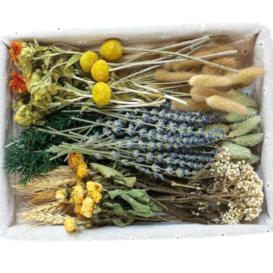 DIY Natural Dried Flower Set, Bulk Dried Flowers for Vase, Dried Flowers with Stems, Dried Roses, Mini Dried Flower Bouquets
DIY Natural Dried Flower Set, Bulk Dried Flowers for Vase, Dried Flowers with Stems, Dried Roses, Mini Dried Flower Bouquets