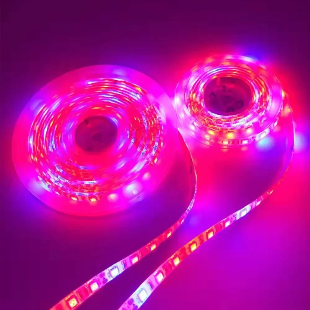 led grow light strip 5M 5050 Full Spectrum Flower Plant Phyto Growth lamp for indoor Greenhouse Hydroponic grows lights 12V tent
led grow light strip 5M 5050 Full Spectrum Flower Plant Phyto Growth lamp for indoor Greenhouse Hydroponic grows lights 12V tent