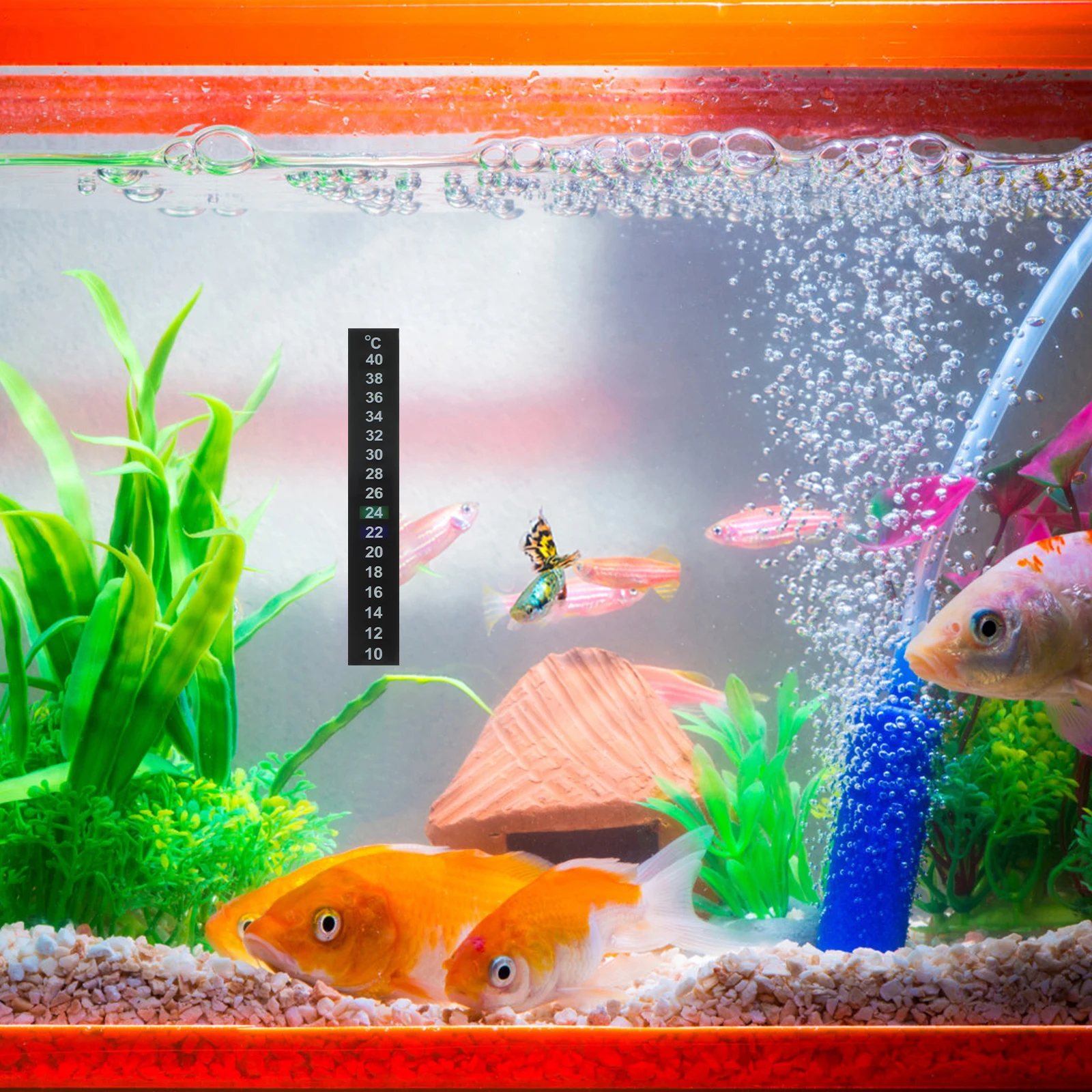 Aquarium Temperature Gauge LCD Bar Adhesive Thermometer Fish Tank Stick on Strip
Aquarium Temperature Gauge LCD Bar Adhesive Thermometer Fish Tank Stick on Strip