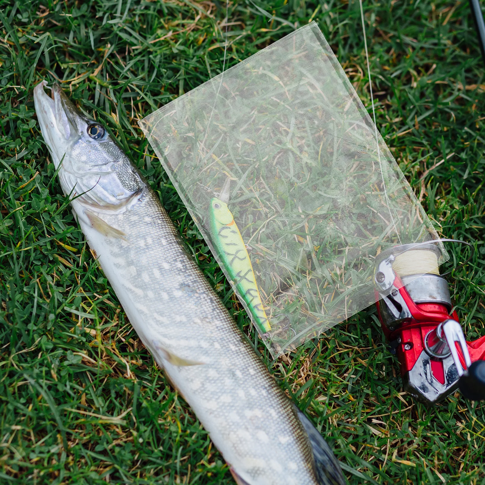 50Pcs Pva Water Soluble Bags Precise Bait Placement Outdoor Fishing Equipment Mesh Bag for Efficient Fishing Experience
50Pcs Pva Water Soluble Bags Precise Bait Placement Outdoor Fishing Equipment Mesh Bag for Efficient Fishing Experience