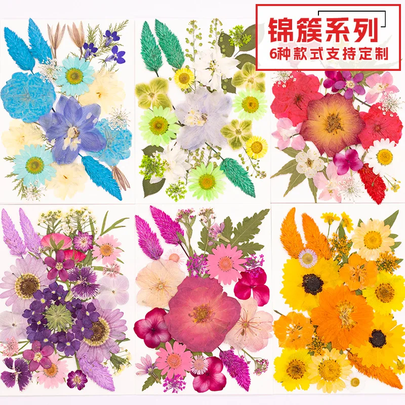 Natural Pressed Flower Small Package Mixed with Dried Flowers and Leaves for Collage, Pressed Real Flowers, Plant Specimens, Handmade Resin Dry Flower DIY Material Kit
Natural Pressed Flower Small Package Mixed with Dried Flowers and Leaves for Collage, Pressed Real Flowers, Plant Specimens, Handmade Resin Dry Flower DIY Material Kit