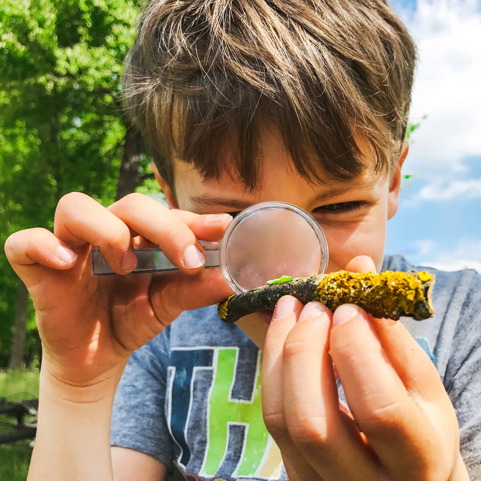 16Pcs Small Handheld Magnifying Glass 8x Portable Reading Magnifier Set for Family School Exploration 
16Pcs Small Handheld Magnifying Glass 8x Portable Reading Magnifier Set for Family School Exploration