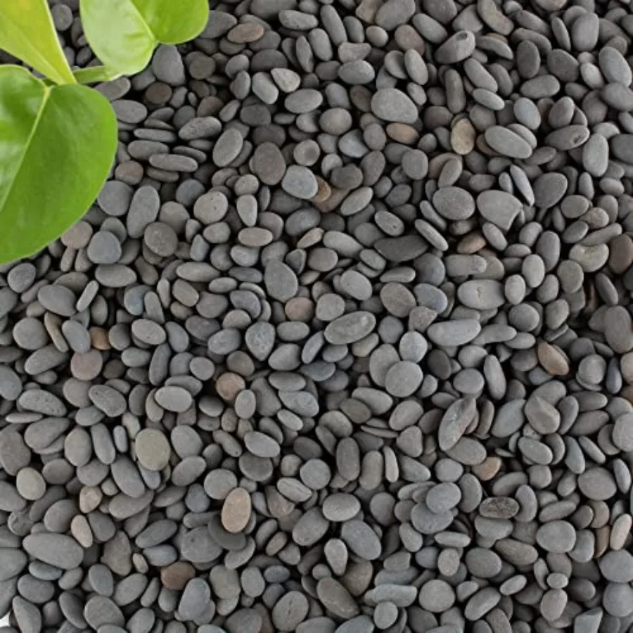 Black Rock, River Rocks Pebbles for Plants Succulents, Decorative Outdoor Landscaping Garden Rocks, Natural Small Mexican Beach
Black Rock, River Rocks Pebbles for Plants Succulents, Decorative Outdoor Landscaping Garden Rocks, Natural Small Mexican Beach