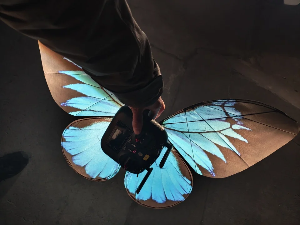 Bionic Butterfly Remote Control Flapping Wing Aircraft Flight Control Protection upgrade For Wedding Concert Science Activity
Bionic Butterfly Remote Control Flapping Wing Aircraft Flight Control Protection upgrade For Wedding Concert Science Activity