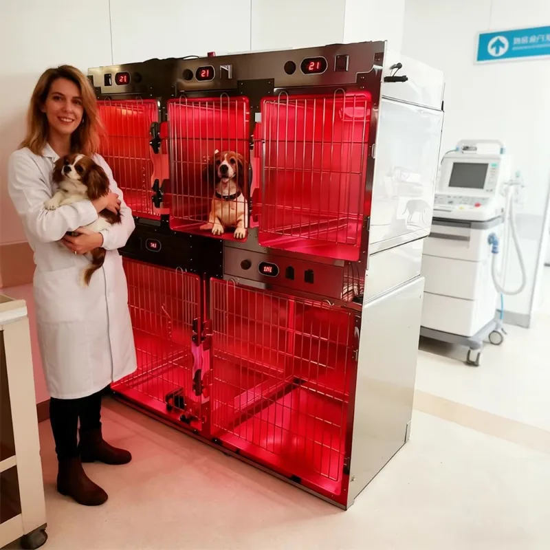 Professional High Efficiency Stainless Steel Veterinary Medical Cage Light Animal Hospital ICU Care Oxygen DC Power LED
Professional High Efficiency Stainless Steel Veterinary Medical Cage Light Animal Hospital ICU Care Oxygen DC Power LED