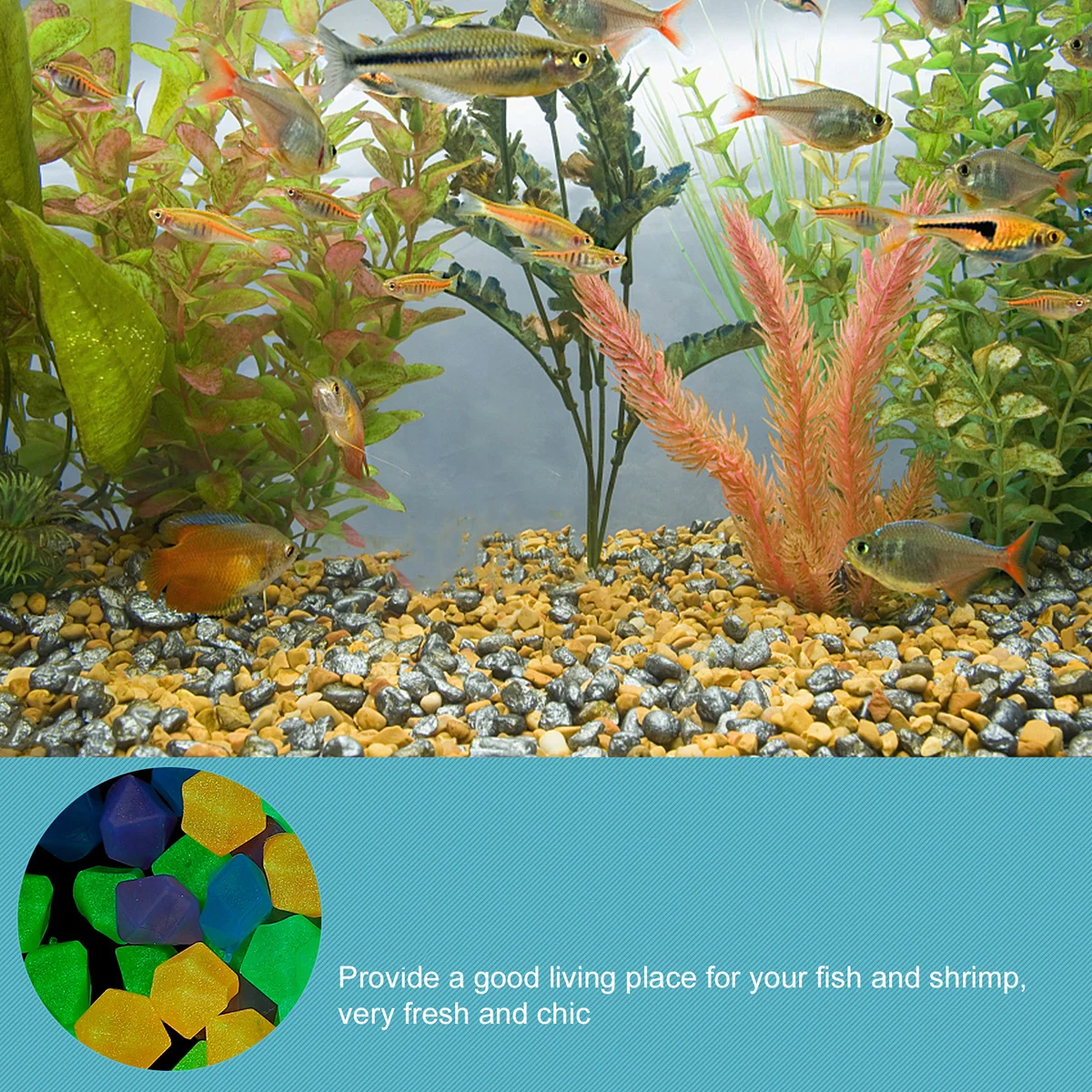 600 Pcs Stone Luminous Gravel Landscape Rocks Fish Tank Stones Fluorescence Decoration
600 Pcs Stone Luminous Gravel Landscape Rocks Fish Tank Stones Fluorescence Decoration