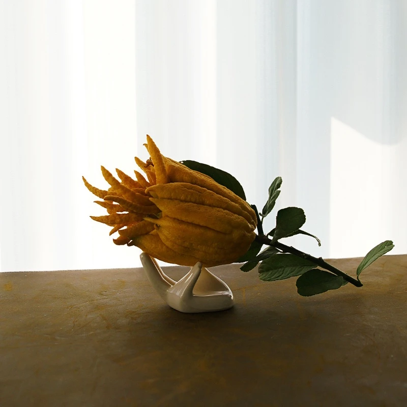 Plate high-value bergamot handle melon and fruit creative flower pot tray vase ceramic offering device 
Plate high-value bergamot handle melon and fruit creative flower pot tray vase ceramic offering device