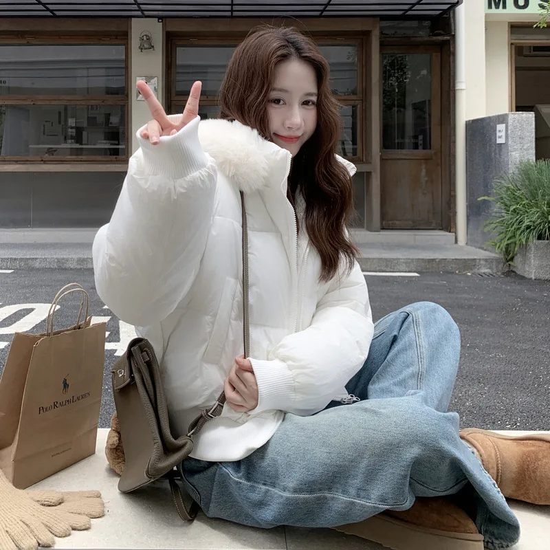 Зимняя утепленная женская куртка-пуховик свободного кроя с меховым воротником, укороченная, на молнии, с регулировкой талии
Зимняя утепленная женская куртка-пуховик свободного кроя с меховым воротником, укороченная, на молнии, с регулировкой талии