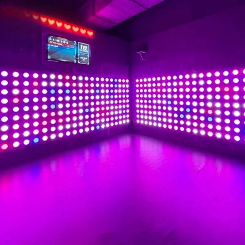 Popular Interactive Push LED Light Button Sports Games for Team Building Activate Game Room in Airport or Garden Occasions
Popular Interactive Push LED Light Button Sports Games for Team Building Activate Game Room in Airport or Garden Occasions