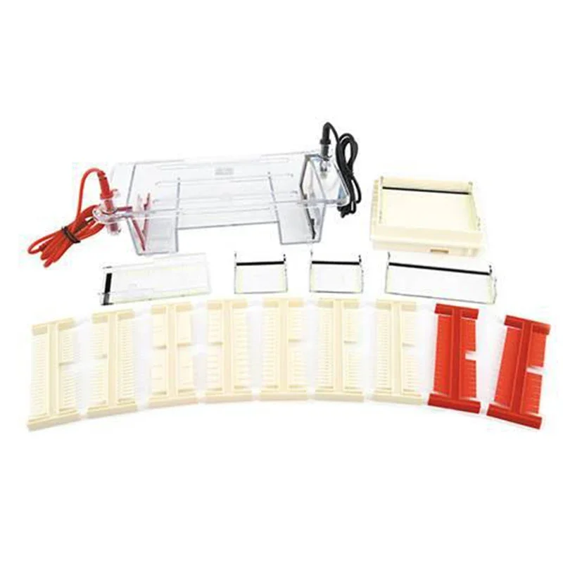 Agarose Horizontal Electrophoresis Instrument Is Suitable for Separating, Preparing DNA, and Determining Molecular Weight
Agarose Horizontal Electrophoresis Instrument Is Suitable for Separating, Preparing DNA, and Determining Molecular Weight