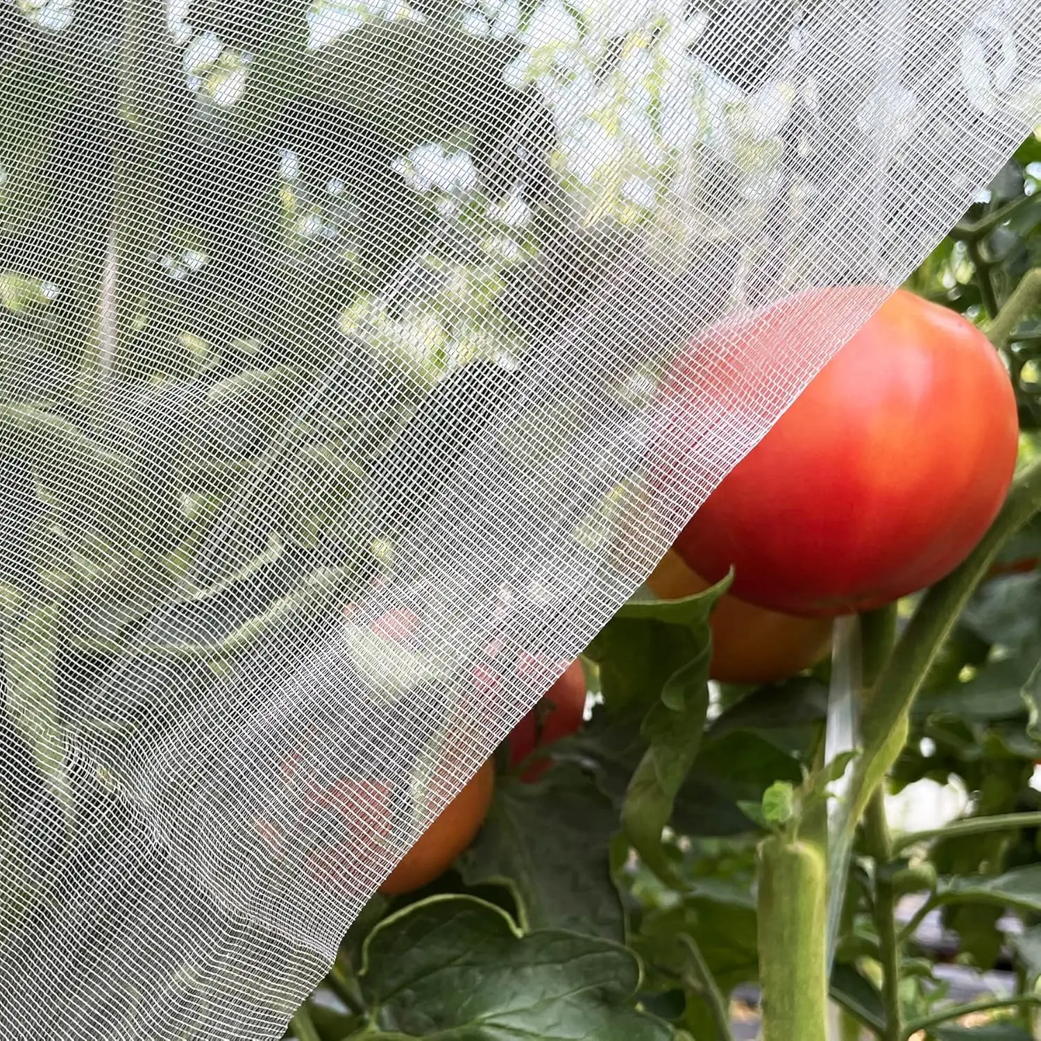 Ultra Fine Garden Netting 4'x10' - Pest Barrier for Plants, Birds, Mosquitoes
Ultra Fine Garden Netting 4'x10' - Pest Barrier for Plants, Birds, Mosquitoes