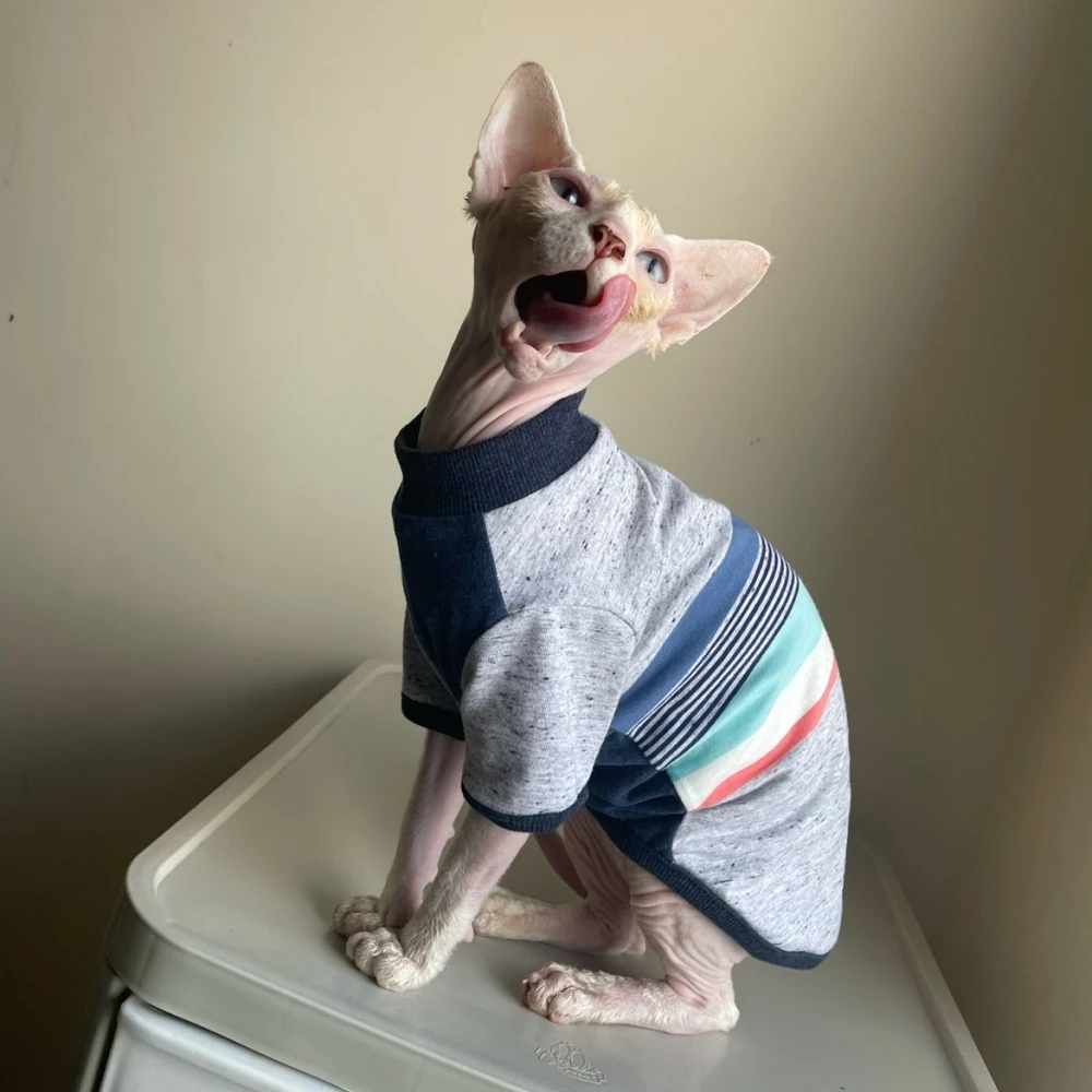 Одежда с котом Sphynx, Хлопковая полосатая футболка для щенка, модное зимнее нижнее пальто для Devon Rex, хороший эластичный джемпер на осень
Одежда с котом Sphynx, Хлопковая полосатая футболка для щенка, модное зимнее нижнее пальто для Devon Rex, хороший эластичный джемпер на осень