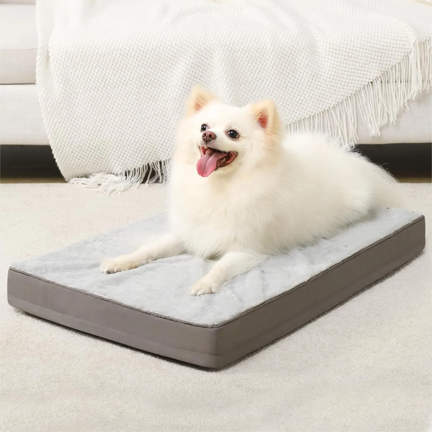 Orthopedic Dog Bed For Small Dogs 23x17 Inch Gray Plush Crate Pad With Egg Crate Foam And Removable Cover
Orthopedic Dog Bed For Small Dogs 23x17 Inch Gray Plush Crate Pad With Egg Crate Foam And Removable Cover