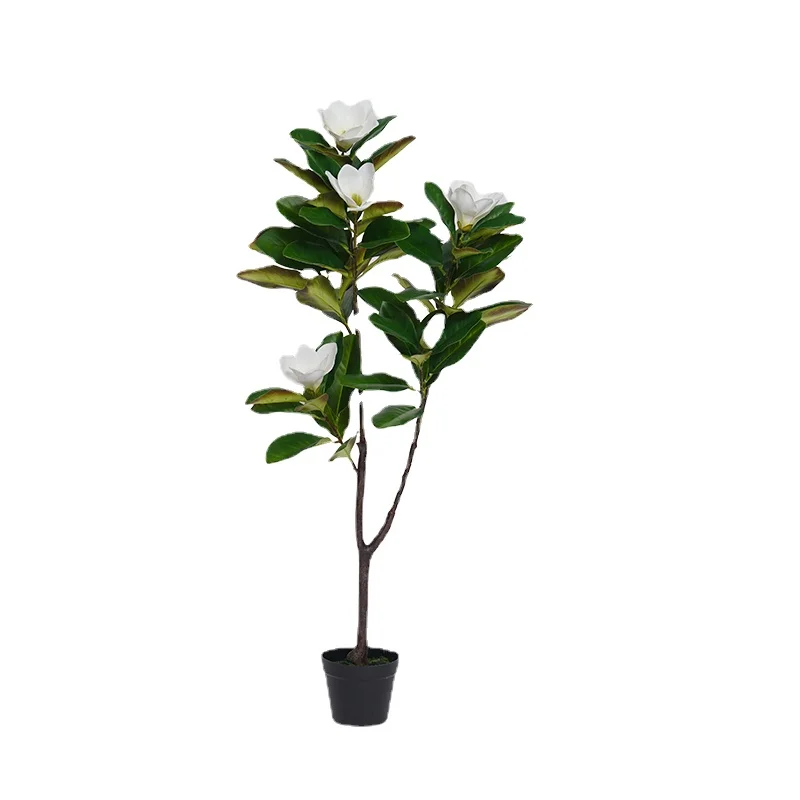 ZL High-Grade Simulation Magnolia Tree Plastic Fake Fake Trees Green Plant Floor Bonsai
ZL High-Grade Simulation Magnolia Tree Plastic Fake Fake Trees Green Plant Floor Bonsai