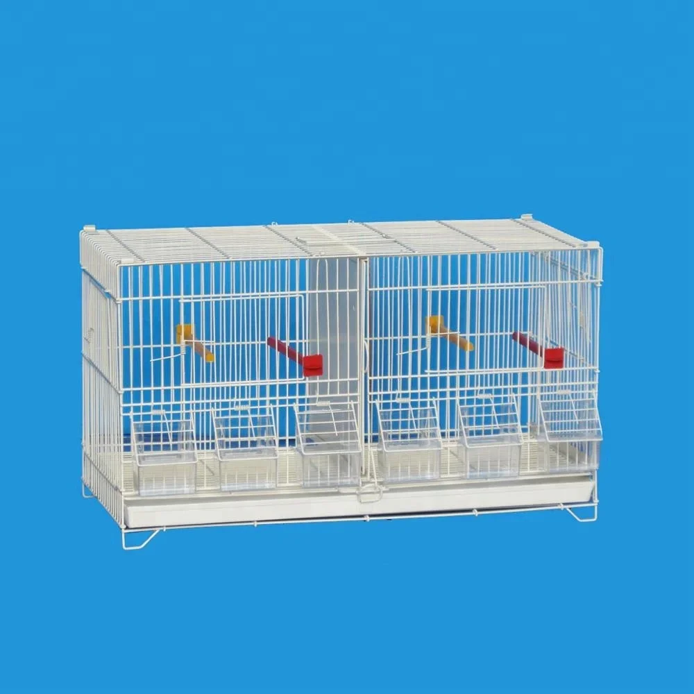 High-quality White Mini Fancy Love Bird Breeding Cage Fronts Glass Small Wire Cages Flight Extra Large Bird Cage
High-quality White Mini Fancy Love Bird Breeding Cage Fronts Glass Small Wire Cages Flight Extra Large Bird Cage