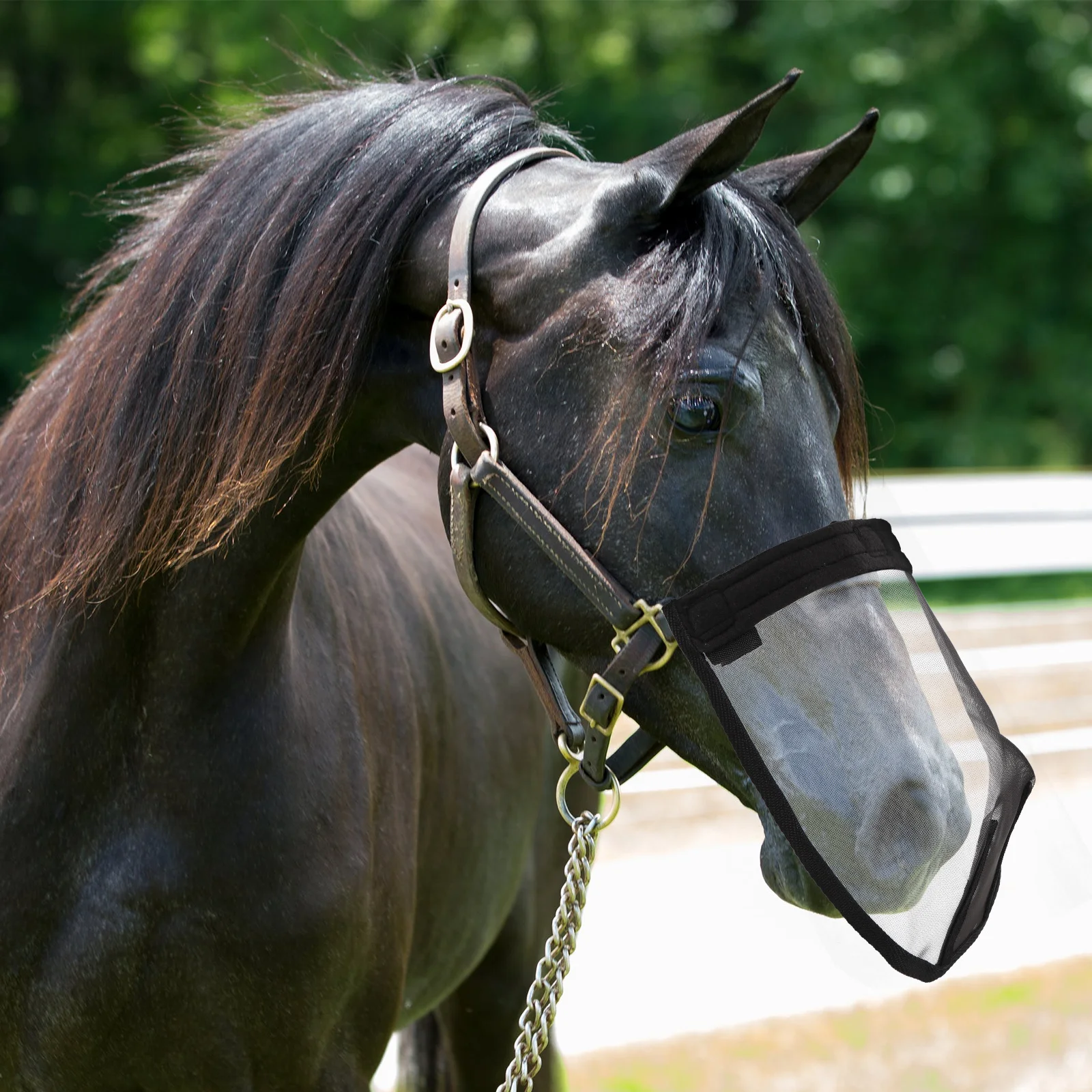 Durable Anti-Fly Mesh Horse Mask Summer Protects Nose Mouth Easy to Wear Full Visibility Fly Horse Mask
Durable Anti-Fly Mesh Horse Mask Summer Protects Nose Mouth Easy to Wear Full Visibility Fly Horse Mask
