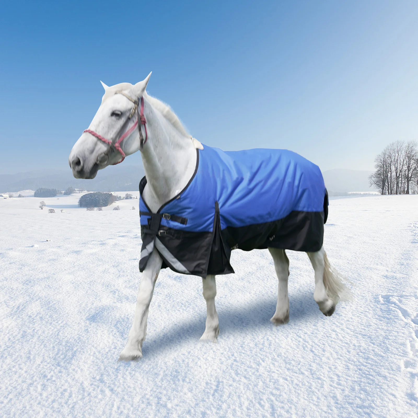 Horse Care Blankets, 75'' Turnout Horse Blankets for Winter, 1200 Denier Waterproof & Breathable Horses Sheet with 220G Filling Cotton and Adjustable Strap
Horse Care Blankets, 75'' Turnout Horse Blankets for Winter, 1200 Denier Waterproof & Breathable Horses Sheet with 220G Filling Cotton and Adjustable Strap