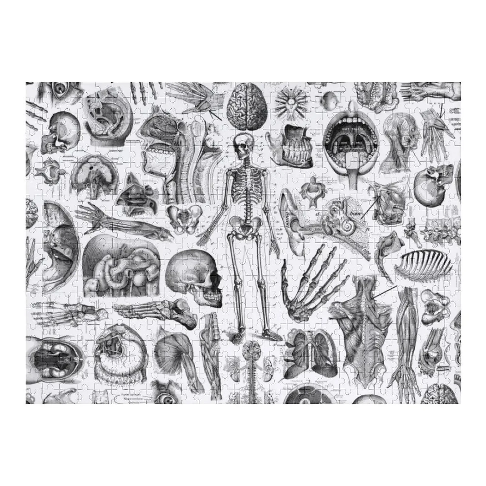 Human Anatomy White Print Jigsaw Puzzle Photo Custom Custom Personalised Toys Puzzle
Human Anatomy White Print Jigsaw Puzzle Photo Custom Custom Personalised Toys Puzzle