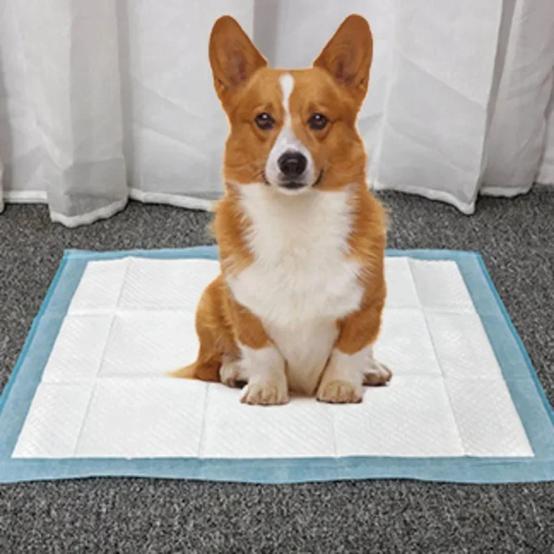 Pet Urine Pad Disposable Dog Cat Diaper Thick Diaper Non Wet Pet Clean Product Non-woven Fabric Wood Pulp Polymer Dog Toilet Pad
Pet Urine Pad Disposable Dog Cat Diaper Thick Diaper Non Wet Pet Clean Product Non-woven Fabric Wood Pulp Polymer Dog Toilet Pad