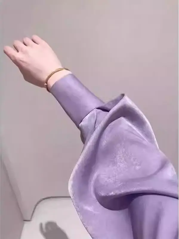 plus Size Purple Silk Long Sleeve Shirt Women Loose Fit Premium Feeling Early Spring Button up Korean Style Neck Top
plus Size Purple Silk Long Sleeve Shirt Women Loose Fit Premium Feeling Early Spring Button up Korean Style Neck Top