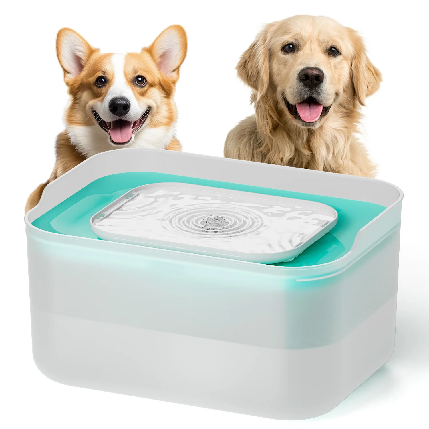 8-liter large capacity water dispenser with filtered silent water pump, suitable for two or more pets in the drinking bowl
8-liter large capacity water dispenser with filtered silent water pump, suitable for two or more pets in the drinking bowl