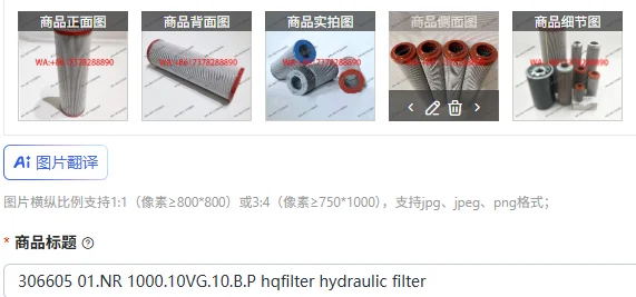 306605 01.NR 1000.10VG.10.B.P hqfilter hydraulic filter
306605 01.NR 1000.10VG.10.B.P hqfilter hydraulic filter