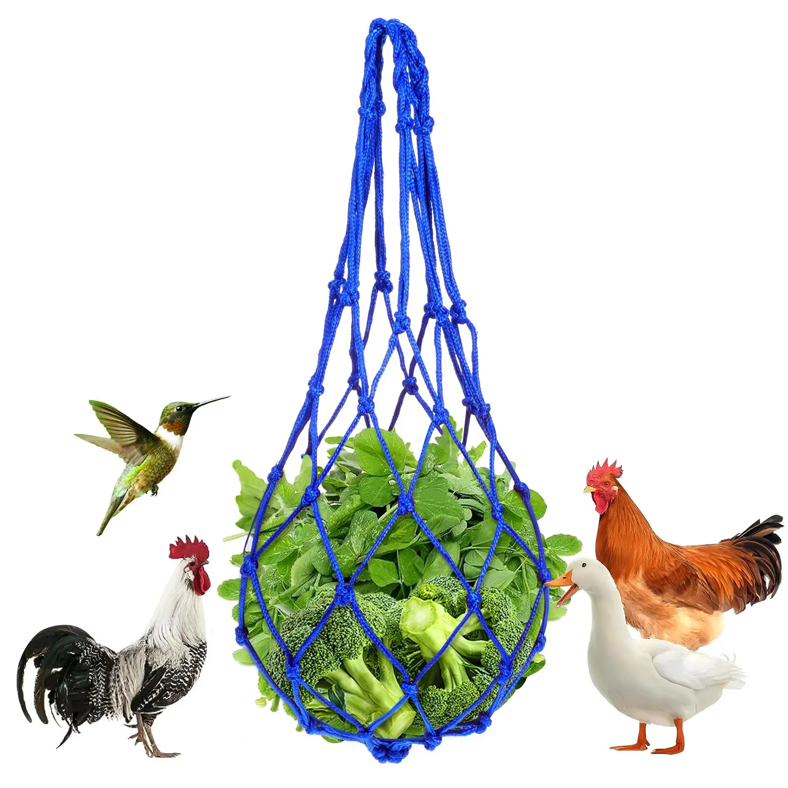 1pc Livestock Feeding Mesh BagBlue Nylon Durable Hanging Chicken Feeders Hay Net Pouch Vegetable Feeder Practical Usage Long
1pc Livestock Feeding Mesh BagBlue Nylon Durable Hanging Chicken Feeders Hay Net Pouch Vegetable Feeder Practical Usage Long
