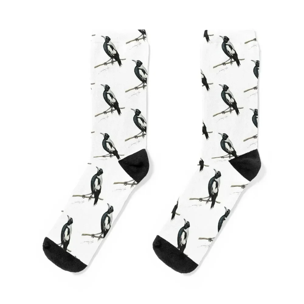 Magpie , Australian bird art with artists signature Socks loose man Mens Socks Women's
Magpie , Australian bird art with artists signature Socks loose man Mens Socks Women's