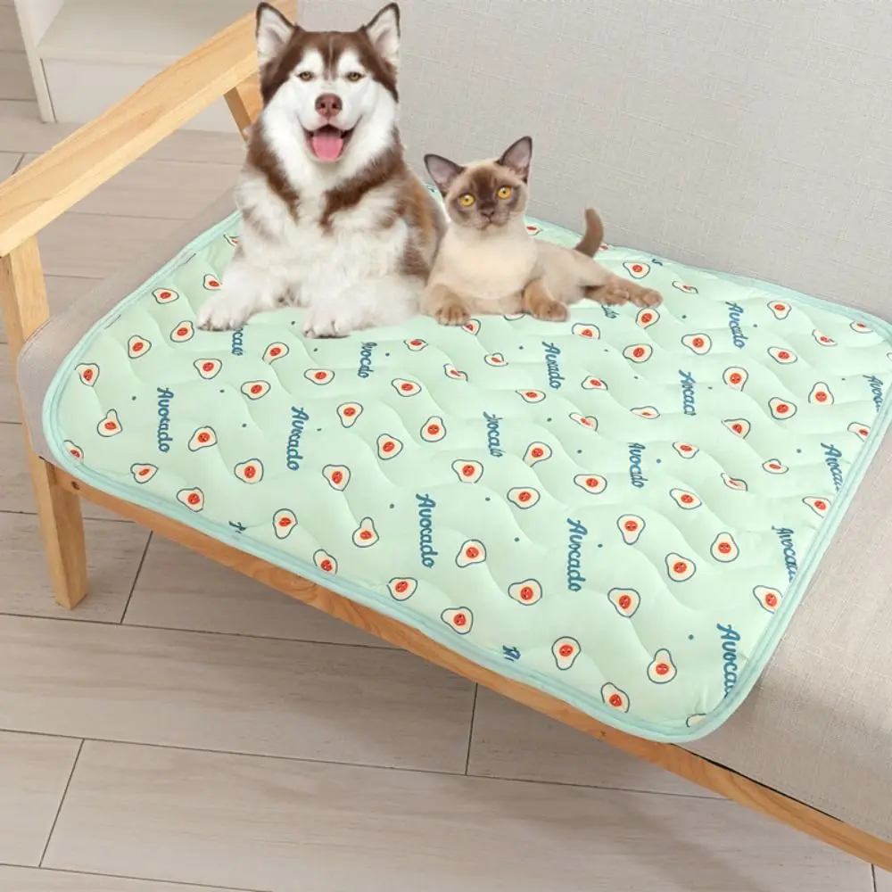 Summer pet mat, cool feeling pet mat, cat and dog sofa mat, cool feeling ice silk, breathable pet mat, dog ice mat
Summer pet mat, cool feeling pet mat, cat and dog sofa mat, cool feeling ice silk, breathable pet mat, dog ice mat