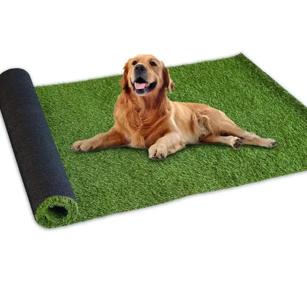 Artificial Grass Turf 4ft x 6ft 0.8" Pile Height Realistic Synthetic Grass Drain Holes Pets Child Friendly Wear-Resistant UV
Artificial Grass Turf 4ft x 6ft 0.8" Pile Height Realistic Synthetic Grass Drain Holes Pets Child Friendly Wear-Resistant UV