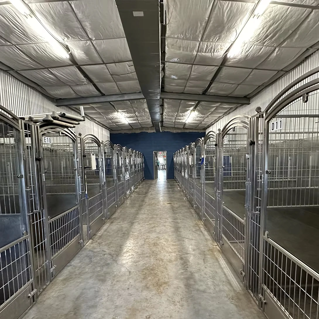 Large Dog Runs Stainless Steel Kennels Glass Door and HDPE Panels Custom Walk in Kennel
Large Dog Runs Stainless Steel Kennels Glass Door and HDPE Panels Custom Walk in Kennel