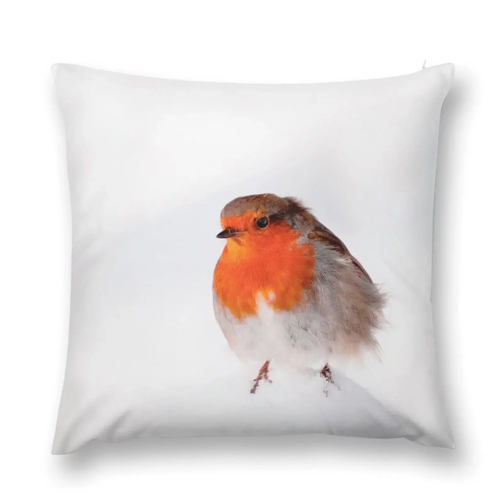 It's a Cold Day Robin Throw Pillow christmas decorations for home 2025 Pillow Case Ornamental Pillow
It's a Cold Day Robin Throw Pillow christmas decorations for home 2025 Pillow Case Ornamental Pillow