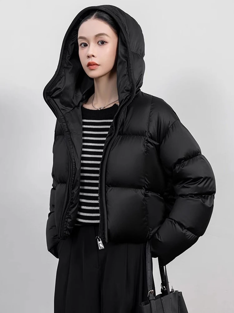 Harajuku Y2K черное пышное пальто женское свободное винтажное уличное парки зимние теплые повседневные куртки с длинными рукавами в американском стиле ретро с капюшоном
Harajuku Y2K черное пышное пальто женское свободное винтажное уличное парки зимние теплые повседневные куртки с длинными рукавами в американском стиле ретро с капюшоном