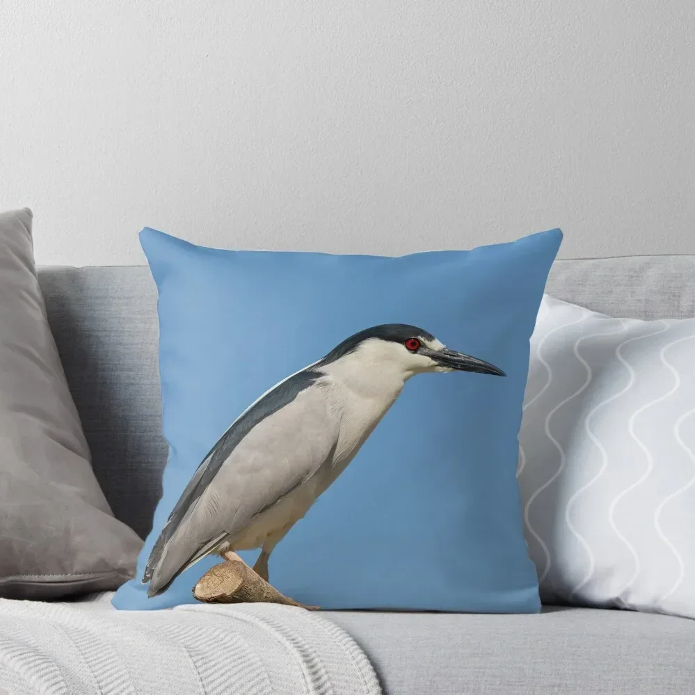 Black-crowned Night Heron 2014-1 Throw Pillow ornamental pillows for living room Sofa Cover pillow
Black-crowned Night Heron 2014-1 Throw Pillow ornamental pillows for living room Sofa Cover pillow