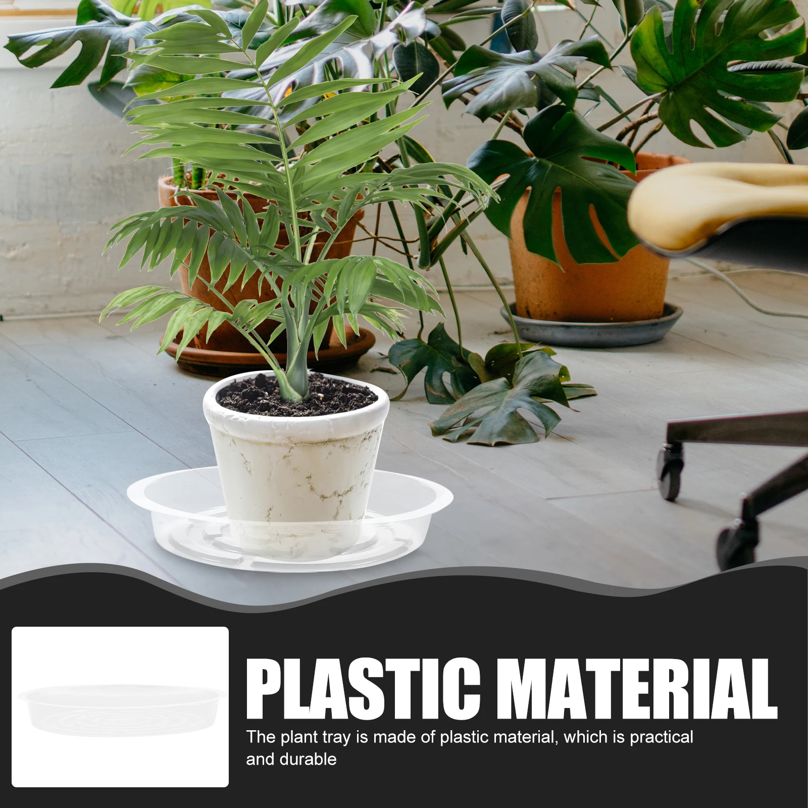 10 Pcs Plant Tray Gardening Saucer for Potted Plants Trays Flowerpot Planter The Pet
10 Pcs Plant Tray Gardening Saucer for Potted Plants Trays Flowerpot Planter The Pet