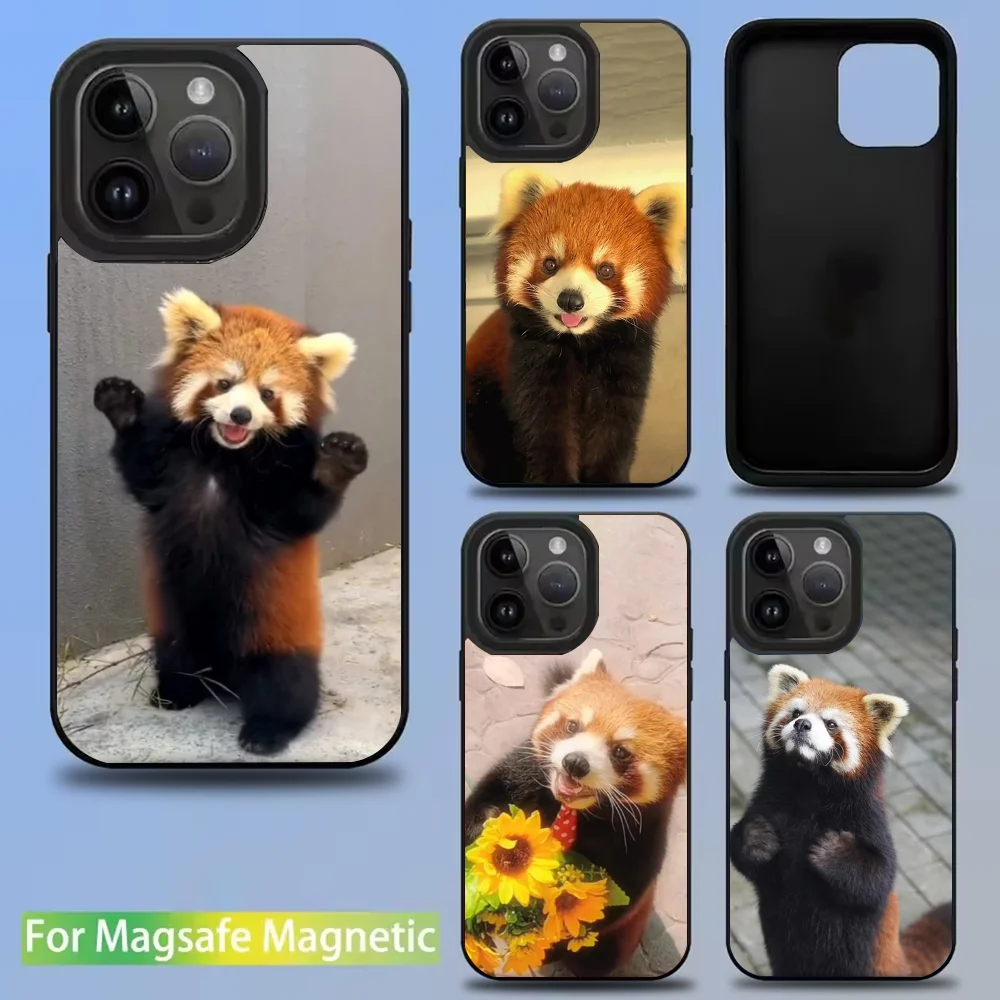 Cute Red panda Animal Phone Case For IPhone 16 15 14 13 12 11 Pro Mini Max Soft Magnetic Cover
Cute Red panda Animal Phone Case For IPhone 16 15 14 13 12 11 Pro Mini Max Soft Magnetic Cover