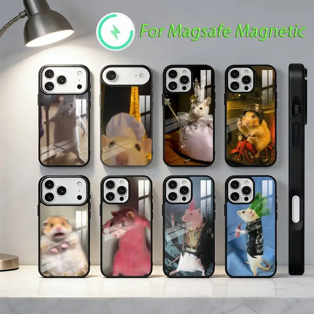 Funny Memes Cricetinae Phone Case For iPhone 17,16,15,14,13,12,11,Plus,Pro,Max Magnetic Wireless Charging
Funny Memes Cricetinae Phone Case For iPhone 17,16,15,14,13,12,11,Plus,Pro,Max Magnetic Wireless Charging