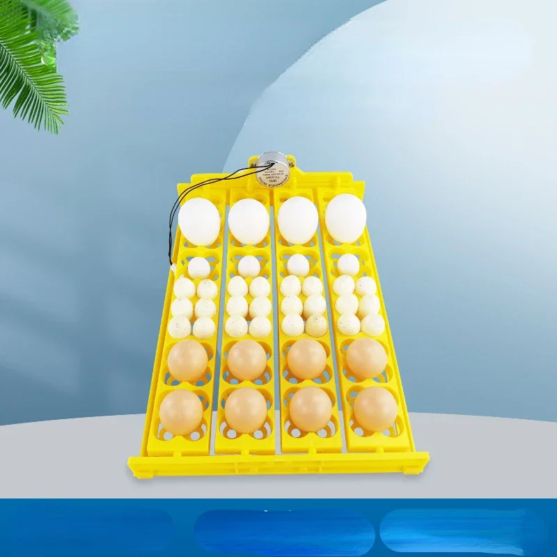 Hatcher Egg Tray Automatically Flips 24 Eggs, 36 Chicken, Duck, Goose, 156 Quail Egg Trays
Hatcher Egg Tray Automatically Flips 24 Eggs, 36 Chicken, Duck, Goose, 156 Quail Egg Trays