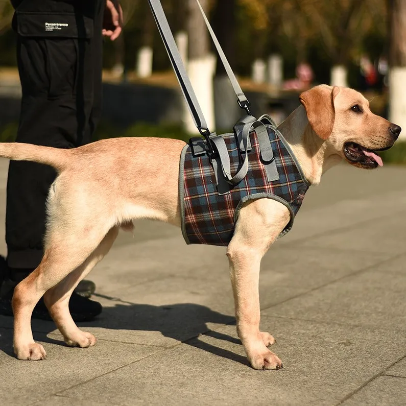 Elderly Disabled Dogs Support Front Help Weak Stand Up Dog Lift Harness Walking Auxiliary Belt
Elderly Disabled Dogs Support Front Help Weak Stand Up Dog Lift Harness Walking Auxiliary Belt